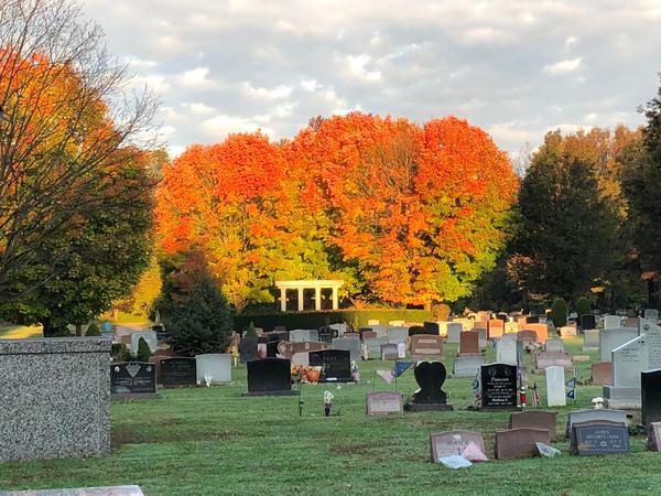 Trenton, NJ Obituaries | Louis Cicalese Cemeteries